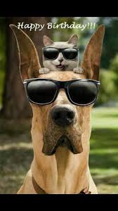 Archivfotos herunterladen alles gute zum geburtstag. Alles Gute Zum Geburtstag Und Zum Wochenende Feiern Liebe Leiden Und Leidenschaft Geburtstag Alles Gute Zum Geburtstag Tiere Lustige Geburtstagsgratulationen Geburtstagstiere