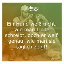 Die Liebe Eines Hundes Ist Unglaublich Hundeliebe Mensch Und Hund Lustige Hundspruche Hundezitate Hunde Hundeliebe Hund Zitat
