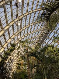 Winter in the Palm Room at Garfield Park Conservatory [3024x4032][OC] :  rRoomPorn