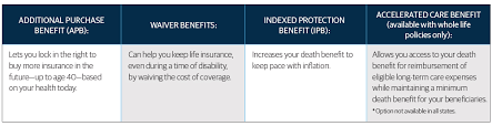 life insurance options types of life insurance