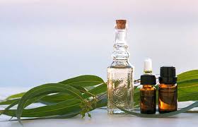 Top 9 Effective Home Remedies To Cure Asthma