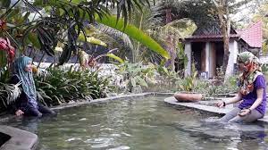Sedangkan 28 persen responden menyebut bab dua kali sehari. Kolam Air Panas Cholo Cholo Resort Hulu Tamu Batang Kali Youtube