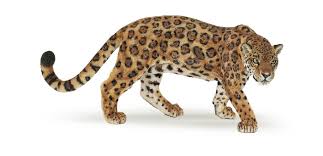 Se cree que los genes responsables del melanismo contribuyen a causar una mayor resistencia contra virus, debido a que se ha observado un incremento significativo de melanismo en poblaciones de leopardos donde se han registrado pandemias. Papo 50094 Jaguar Animal Figures At Spielzeug Guenstig De