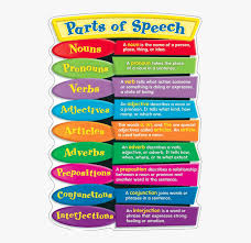 Melbourne (it refers to only one particular city), steve (refers to a particular person) Meme Bulletin Board Verbs Adverbs Adjectives Nouns Pronouns Hd Png Download Transparent Png Image Pngitem