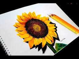 Maybe you would like to learn more about one of these? Sunflower Drawing Colored Pencil Novocom Top