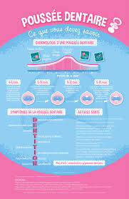 Boiron Infographics Teething Fr 160307infboief R02 Mr Dents Bebe Poussee Dentaire Poussee Dentaire Bebe