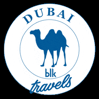 Camel then sorts the routes before starting time. Switch Camel Sticker By Find Salt For Ios Android Giphy