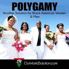Polygamy Memes