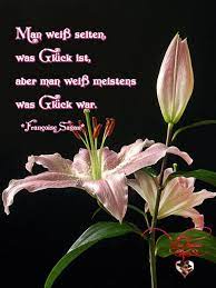 Man Weiss Selten Was Gluck Ist Aber Man Weiss Meistens Was Gluck War Francoise Sagan Spruche Zitate Spruche Weisheiten