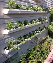 Gutters As Planters Vertical Vegetable Gardens Gutter Garden Garden Yard Ideas