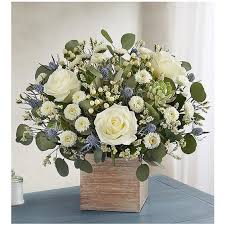 Maybe you would like to learn more about one of these? 1 800 Flowers Country Pearl Succulent Bouquet New York Ny