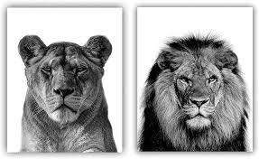 Check spelling or type a new query. Amazon Com Wild Animals Black And White Lioness Male Lion Inspirational Words Quote Art Painting Set Of 2 8 X10 Canvas Picture Large Safari Wall Art Print Poster For Office Or Room Home Decor No Frame