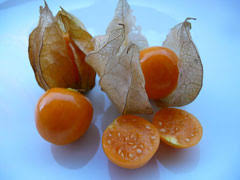 Image result for Physalis peruviana