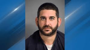 Georgia man pleads guilty to trafficking turtles, venomous snakes: DOJ