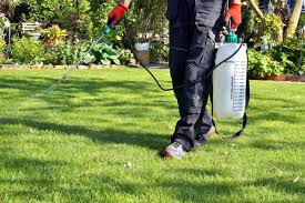 At ecofriendly pest controlp, we utilize the principles of integrated pest management to control rats. Pest Control Services Eco Friendly Pest Control Spokane Ecotek