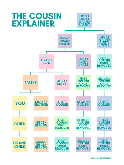 Family Tree Explained : r/coolguides