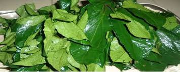 How to make vegetable soup with only water leaf and ugu / vegetable soup with ugu and water leaves edikang ikong soup recipe flo chinyere youtube : Nutritional Benefits Of Ugwu And Why You Should Increase Your Intake Foodiedame