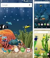 Fondos de pantalla hd gratis: Los Fondos De Pantalla Animados Android Acuarios Descargar Gratis Acuarios Para Android 6 0 Al Telefono