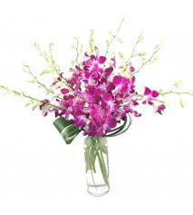 Several places were found that match your search criteria. Carlsbad Florist Carlsbad Flower Delivery San Diego Wholesale Florist Floral Trade Center