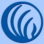 NAMI Family Support Group