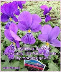 Pin On Gardening Quotes