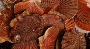 Les Toxines Paralysantes Des Coquillages Ministere De L Agriculture Et De L Alimentation