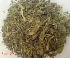 كما تشير الحمامة البيضاء إلى الاستقرار والتخلص من المشاكل الكبيرة. ÙÙˆØ§Ø¦Ø¯ Ù†Ø¨Ø§Øª Ø±Ø¬Ù„ Ø§Ù„Ø­Ù…Ø§Ù…Ø© Ø¯Ø§Ø± Ø§Ù„ÙŠØ§ÙØ¹ÙŠ Ø§Ù„Ù…ØºØ§Ø±Ø¨ÙŠÙ‡ My Mgn Facebook