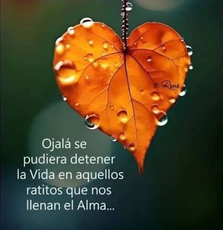 Photo by Frases Para El Alma (@frases.para.el.alma) &middot; February 10, 2025