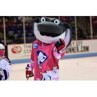 South carolina stingrays cool ray custom mascot costume. South Carolina Stingrays Minor League Hockey On Oursports Central