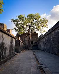 Maritime Legacy: Sewri Fort ...