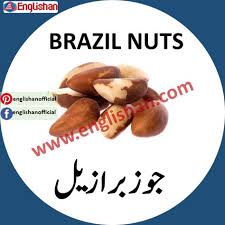 Brazil Nuts Meaning In Urdu Dry Fruits Names In English To Urdu Pdf In 2020 Dry Fruits Names Fruits Name In English Fruit Names