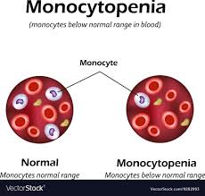 monocytes below the normal range in the blood