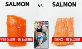 Amanda Meixner On How Type Of Salmon Affects Its Nutritional Value Daily Mail Online