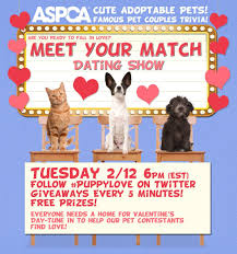 Pin On Pet Adoption Marketing Ideas