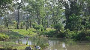 Check spelling or type a new query. Jurong Lake Gardens Familienspass Bei Einem Naturspaziergang Visit Singapore Offizielle Website
