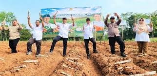 Hilirisasi Komoditas Pertanian Dorong Ketahanan Pangan dari Hulu hingga Hilir