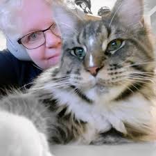 Membership requirement for cfa breed group