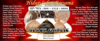 Sejak zaman dahulu, nyaris semua negara di seluruh belahan dunia telah mengenal tanaman yang satu ini dan khasiatnya yang. Makan Bawang Putih Sebelum Tidur Dan Rasakan Manfaat Ini Bawang Putih Hitam Black Garlic
