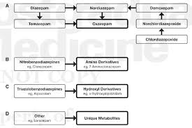 benzodiazepine classes according to metabolism download