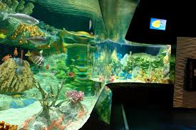 It is the largest city and county seat of morgan county. The Cook Museum Of Natural Science Tenji Aquarium Design Build