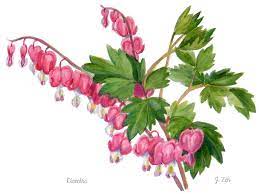 Pin By Christina Jeans On Paperplay Flower Illustration Flower Art Flower Wall Art