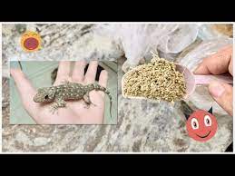 طريقة طرد البرص الوزغ من المنزل الى الابد التخلص من العناكب نهائيا youtube crochet earrings crochet