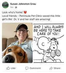 Newport beach is known for its beaches, sunsets, and gardens. Peninsula Pet Clinic San Pedro Emergency And Urgent Care Veterinarian