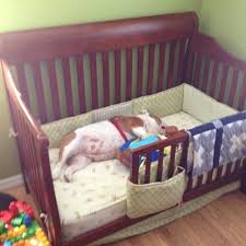Bulldogs Will Sleep Anywhere Padgram Dogbedsforlargedogs Dog Bed Cool Dog Beds Diy Dog Bed