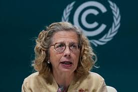 COP29 fixates