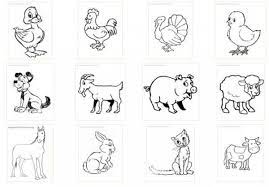 Imagenes De Animales Salvajes Y Domesticos Para Colorear In 2021 Comics Character Cards