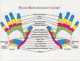 Veracious Reflexology Points Hand Reflexology Chart Laminated
