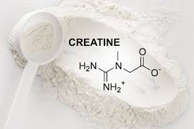  cara kerja creatine