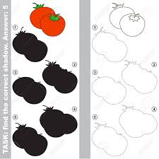 Tomato With Different Shadows To Find The Correct One Compare Royalty Free Cliparts Vectors And Stock Illustration Image 75746493 Medias and tweets on tomato_gaming ( tomato ) ' s twitter profile. tomato with different shadows to find the correct one compare
