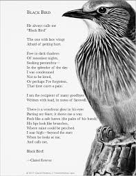 Black Bird A Poem Of Love Light And Dark